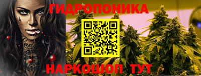 прущие грибы Бийск