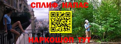прущие грибы Бийск