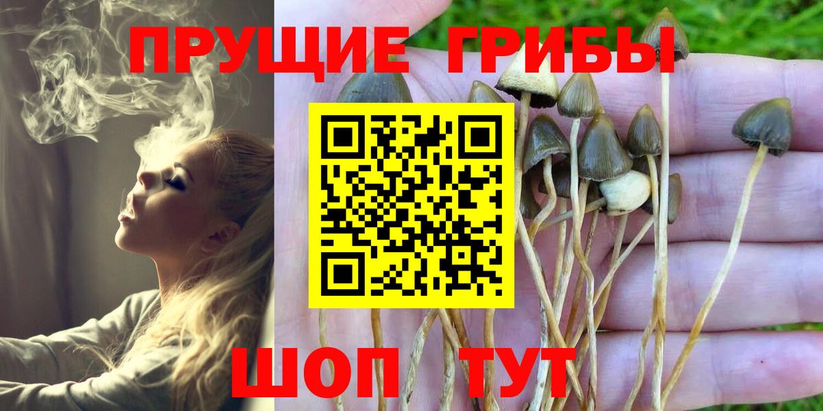 Псилоцибиновые грибы Magic Shrooms Ачхой-Мартан