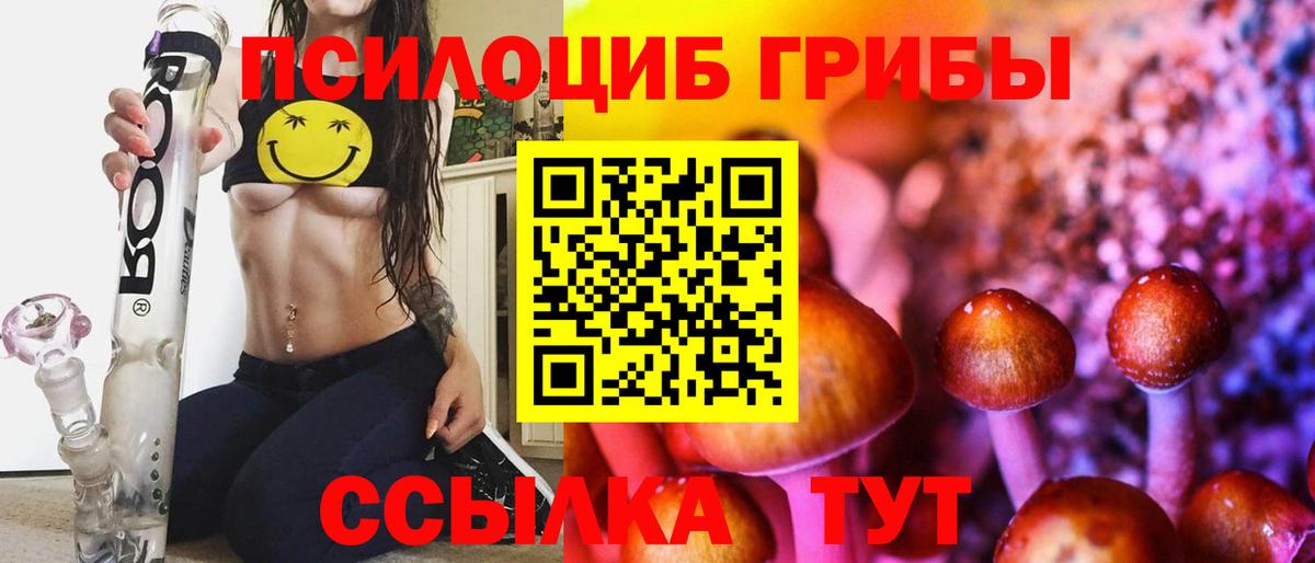 Ачхой-Мартан  Галлюциногенные грибы Cubensis  Вход с VPN 